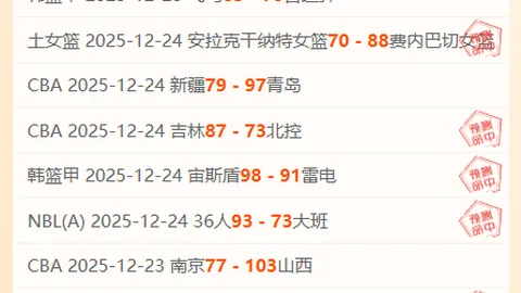 揭秘英超赛场幕后：前顶级裁判揭秘流畅背后，我们的努力与误解！