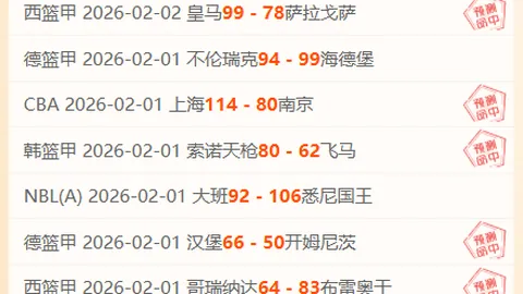 “纽卡2-0切尔西：伊萨克进球，迪萨西乌龙送礼”