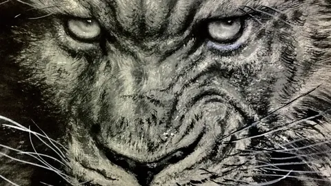 国足引援新篇章：奥斯卡与塞尔吉尼奥归化流程启动