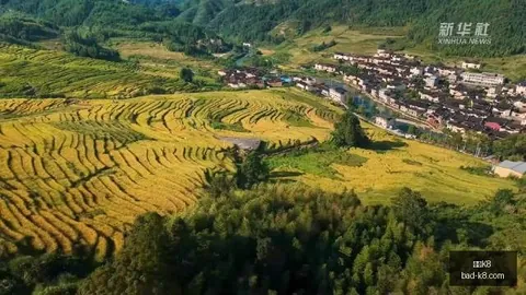 2026年提前实现凯发K8官网：四万人规模足球赛事突破百场大关，幕后